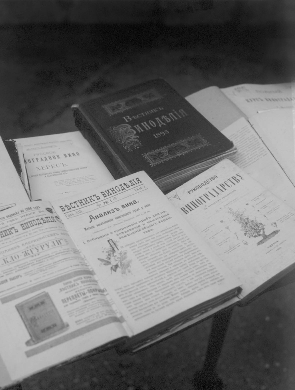 фото: Бібліотека інституту винограду та вина Магарач